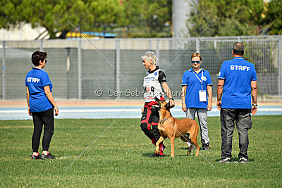 Independent Spirit's Iloy