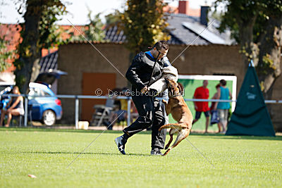 Independent Spirit's Isidora