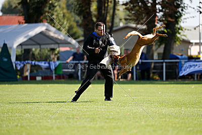 Independent Spirit's Isidora