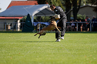 Independent Spirit's Isidora