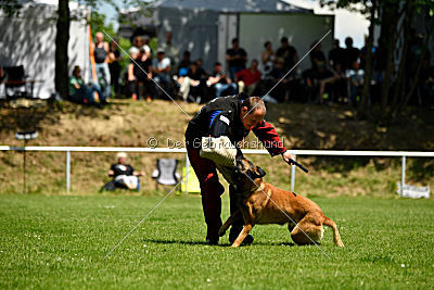 Independent Spirit's Moon