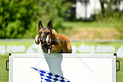 Independent Spirit's Moon