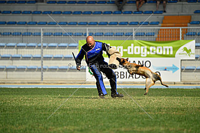 Independent Spirit's Nayeli