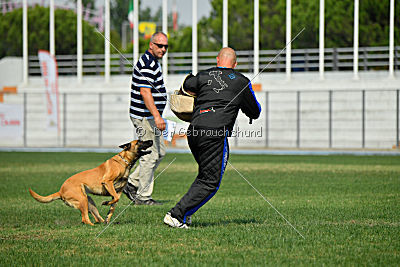 Independent Spirit's Nayeli