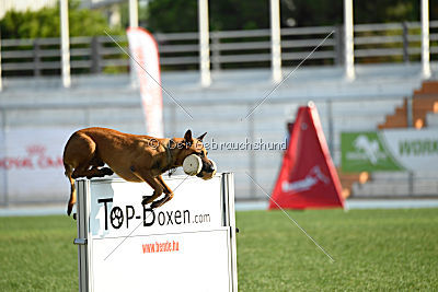 Independent Spirit's Noyman