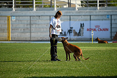 Independent Spirit's Noyman