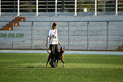 Independent Spirit's Noyman