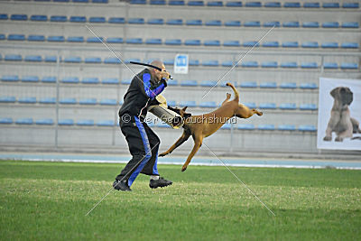 Independent Spirit's Noyman