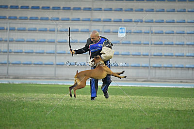 Independent Spirit's Noyman