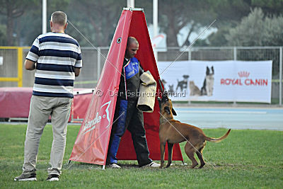 Independent Spirit's Noyman