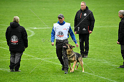 Indio dell'Altopiano