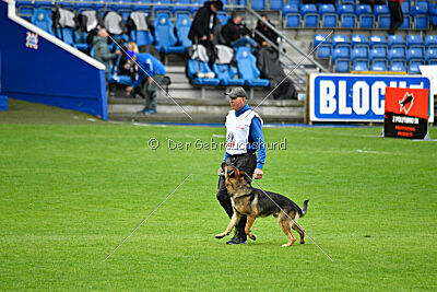 Indio dell'Altopiano