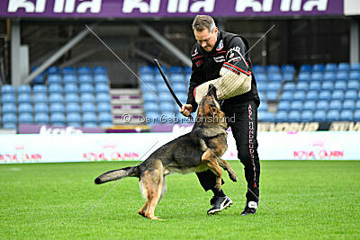 Indio dell'Altopiano