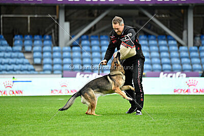 Indio dell'Altopiano