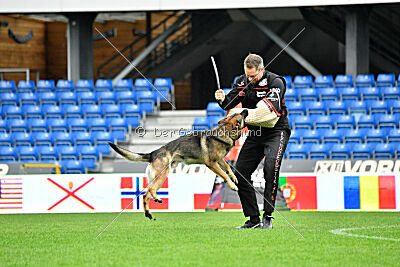 Indio dell'Altopiano