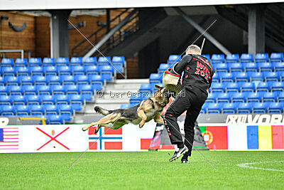 Indio dell'Altopiano