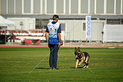 Indio dell'Altopiano