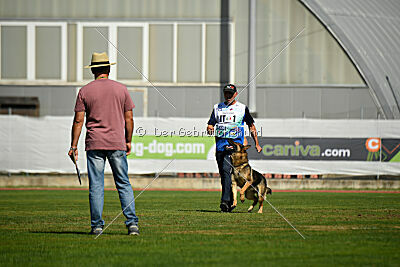 Indio dell'Altopiano