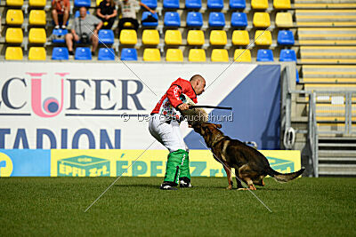 Indio dell'Altopiano