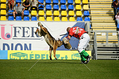 Indio dell'Altopiano