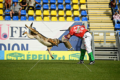 Indio dell'Altopiano