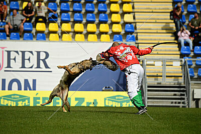 Indio dell'Altopiano