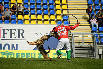 Indio dell'Altopiano