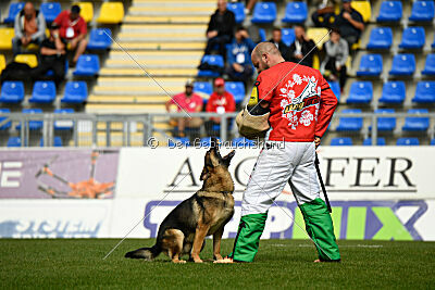 Indio dell'Altopiano