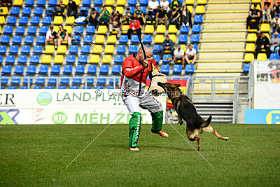 Indio dell'Altopiano