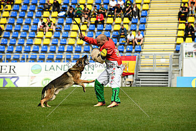 Indio dell'Altopiano