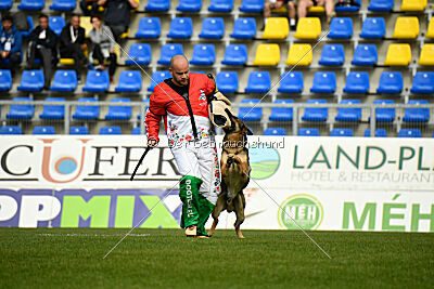 Indio dell'Altopiano