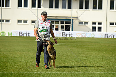 Indio dell'Altopiano