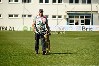 Indio dell'Altopiano