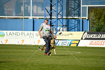 Indio dell'Altopiano