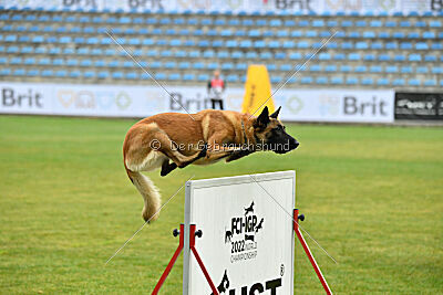 Indy vom Causa Nostre Letitia