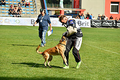 Indy vom Causa Nostre Letitia