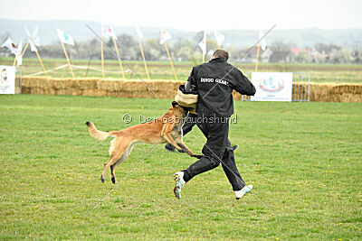 Indy vom Causa Nostre Letitia