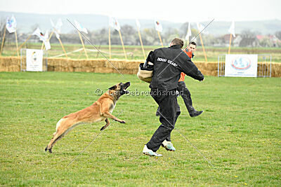 Indy vom Causa Nostre Letitia