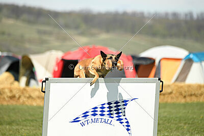 Indy vom Causa Nostre Letitia