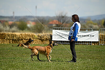 Indy vom Causa Nostre Letitia