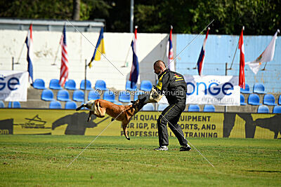 Indy vom Causa Nostre Letitia