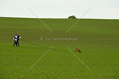 Infinity vom blauen Mistral