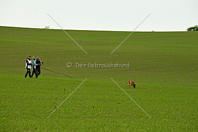 Infinity vom blauen Mistral