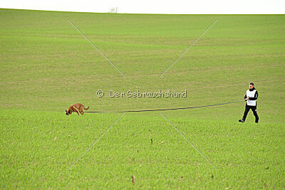 Infinity vom blauen Mistral