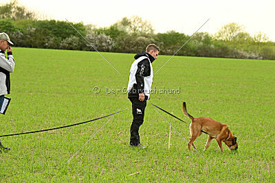 Infinity vom blauen Mistral