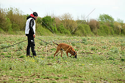 Infinity vom blauen Mistral