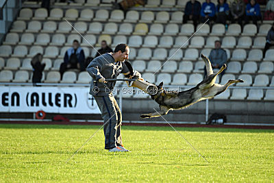 Ingeburg vom Hessenstein
