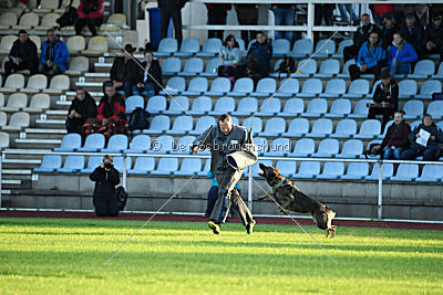 Ingeburg vom Hessenstein