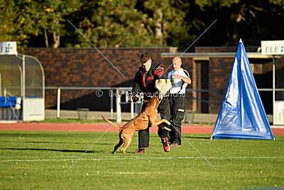 Inuk des Cros de Merlin