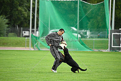Ipet von den Wichtelhäusern
